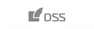 DSS